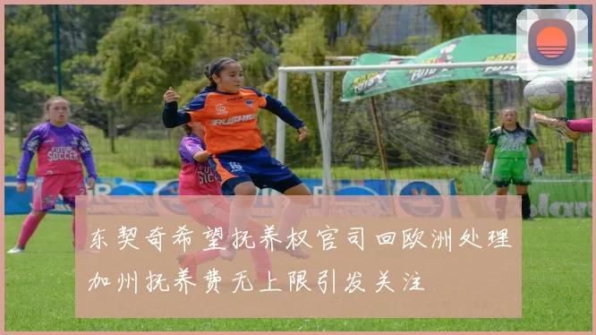 东契奇希望抚养权官司回欧洲处理加州抚养费无上限引发关注